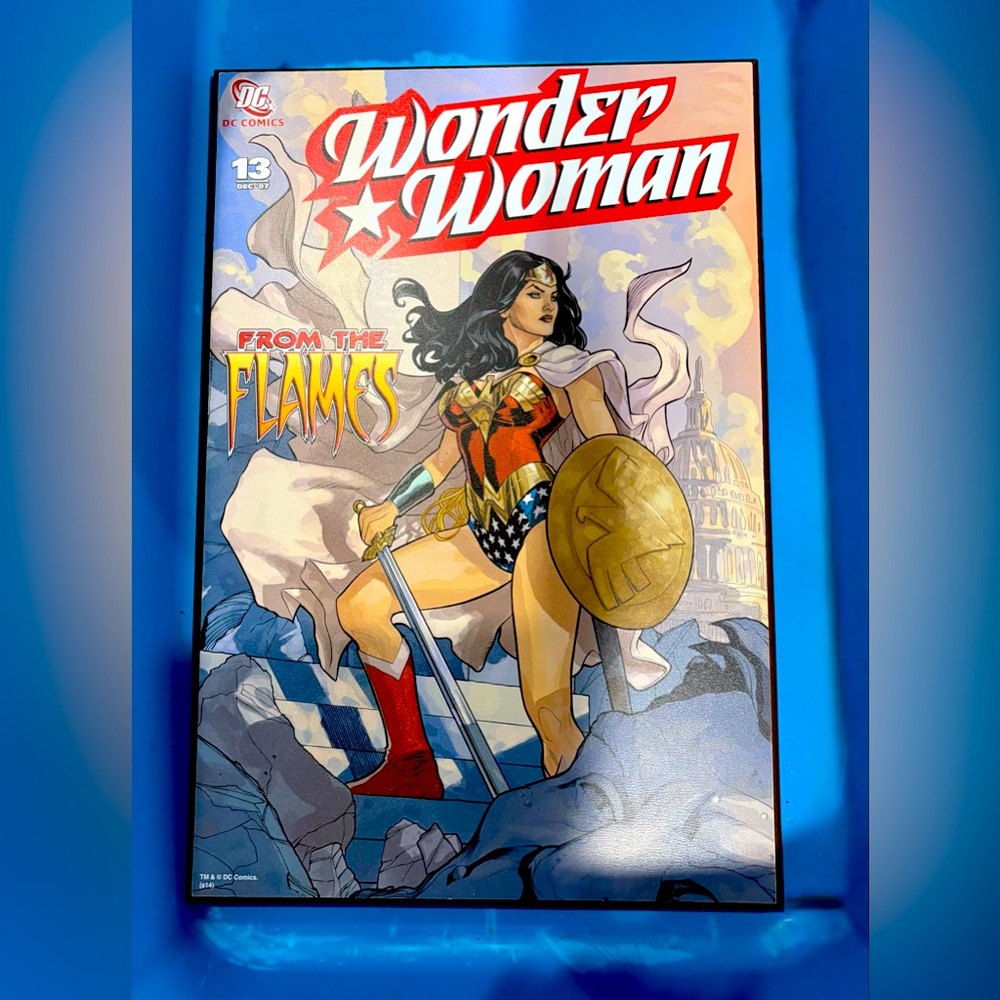 DC Comics Wonder Woman From the Flames Wall  Art